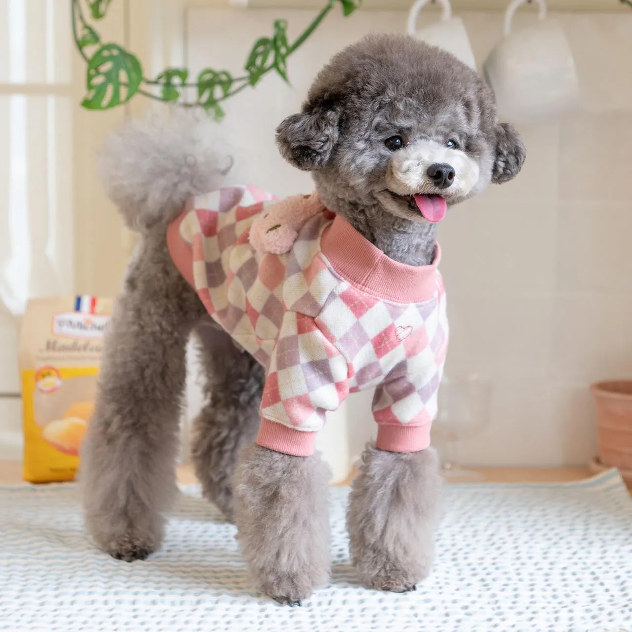 annika bear sweater - last one!