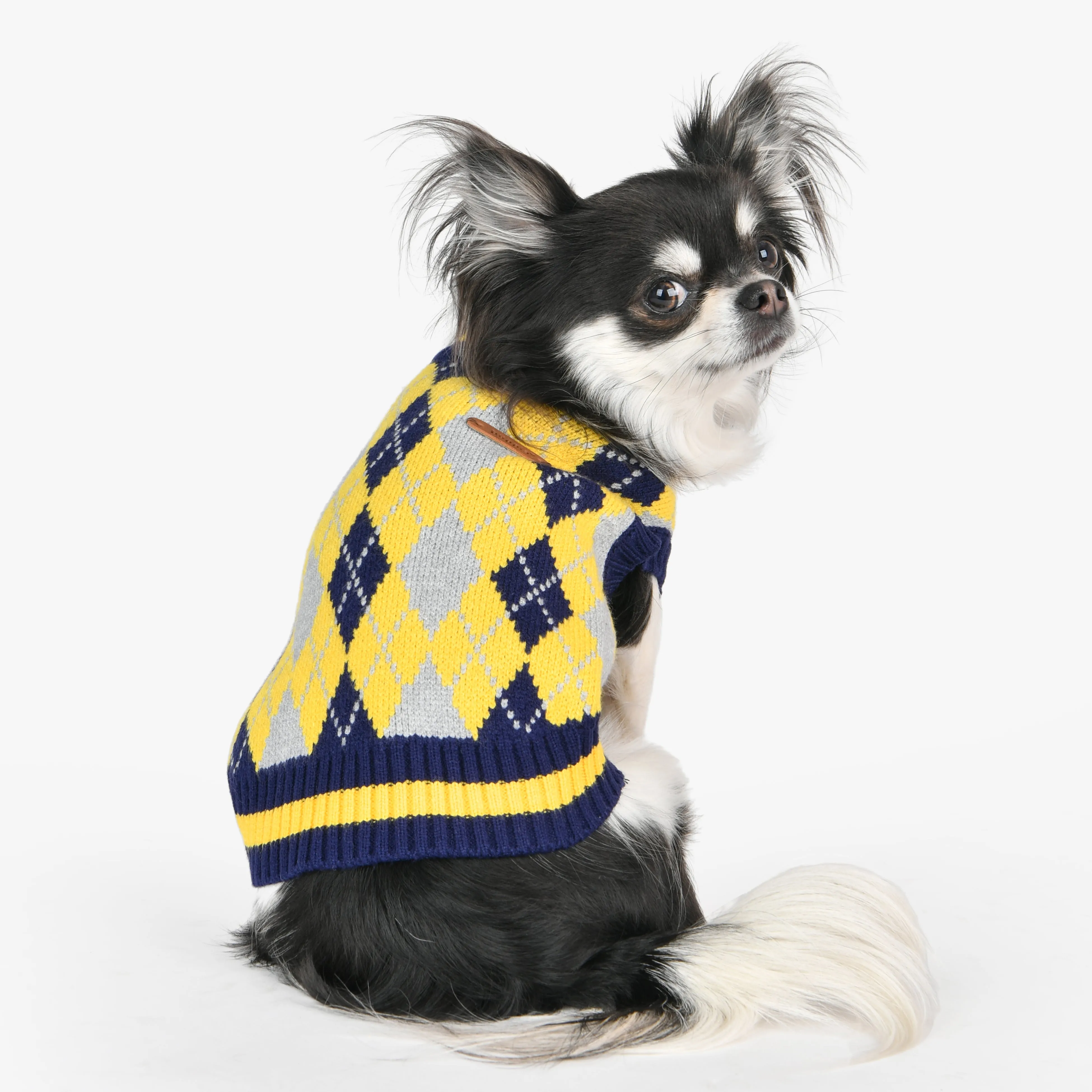 gizmo argyle sweater - yellow - last small!