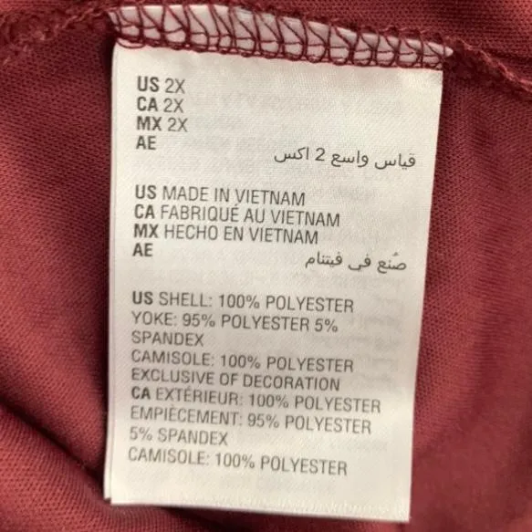 V-Neck Swiss Dot Top Plus Size Women's Blouses