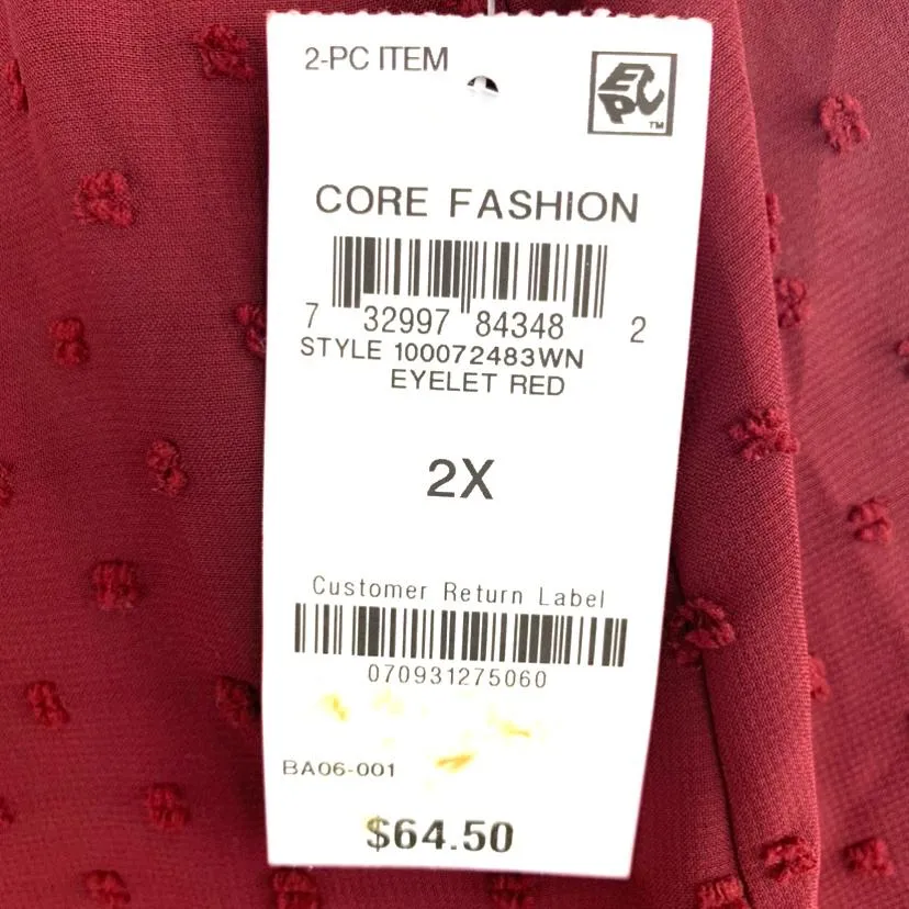 V-Neck Swiss Dot Top Plus Size Women's Blouses